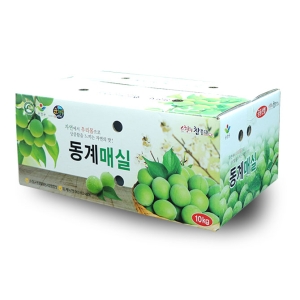 동계 청매실 왕특10kg